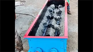 Double Shaft Mixer
