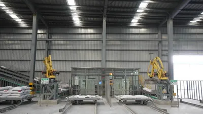 Automatic Palletizer (Palletizing Robot)