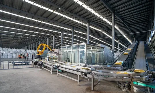 Automatic Bagging Machine